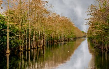 Grassy Waters Preserve Image