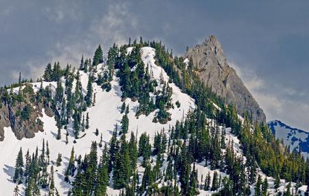 Hurricane Ridge Image