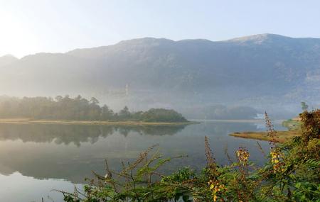 Malankara Dam Image