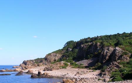 Bjarekusten Naturreservat Image