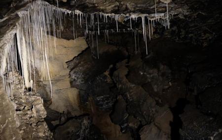 Mole Creek Caves Image