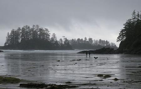 Pacific Rim National Park Reserve Of Canada Image