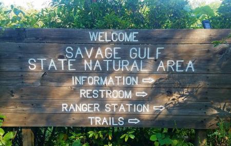 Savage Gulf Natural Area State Park Image