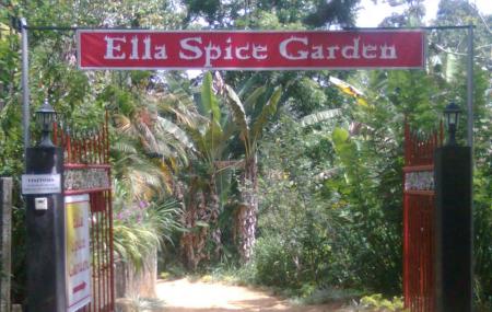 Ella Spice Garden Image