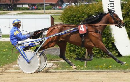 Trabrennbahn Munchen-daglfing Image