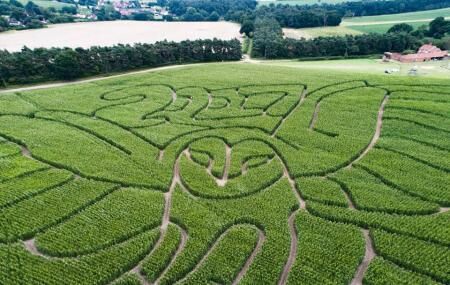 Hundred River Maize Maze Image