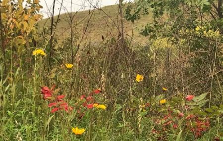 Loess Hills State Forest Image