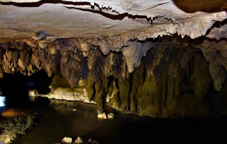 Waipu Caves Image