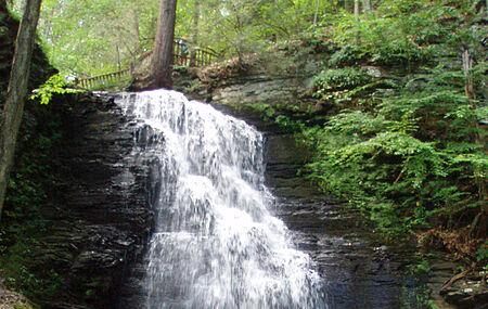 Bushkill Falls Image
