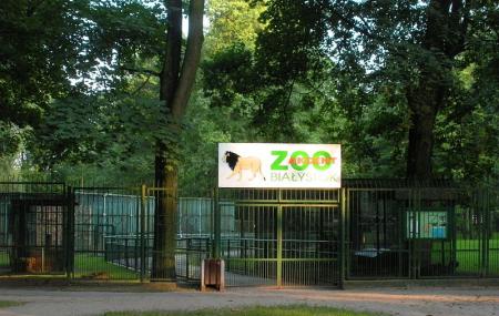 Akcent Zoo Image