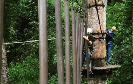 Baturaden Adventure Forest Image