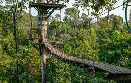 Angkor Zipline Image