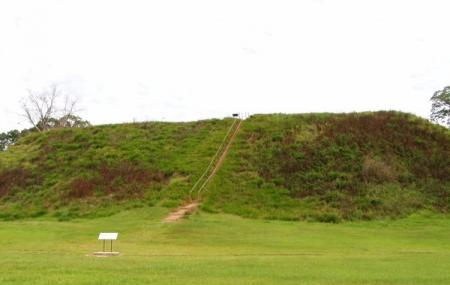 Kolomoki Mounds Historic Park Image