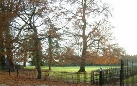 Bletchingdon Park Image