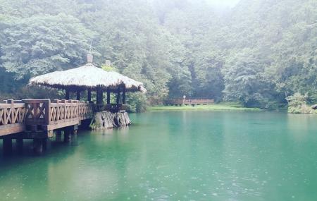 Alishan National Scenic Area Image