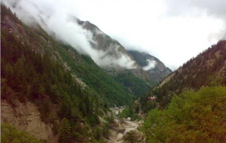 Gangotri National Park Image