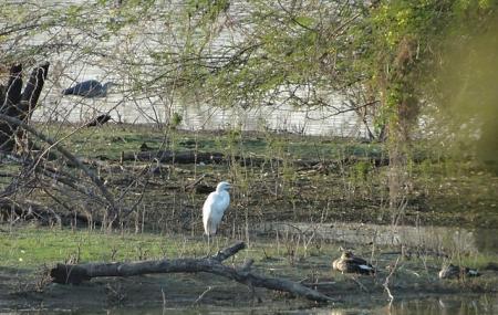 Vellode Bird Sanctuary Image