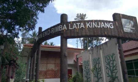 Lata Kinjang Image