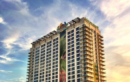 Margaritaville Resort Casino Image