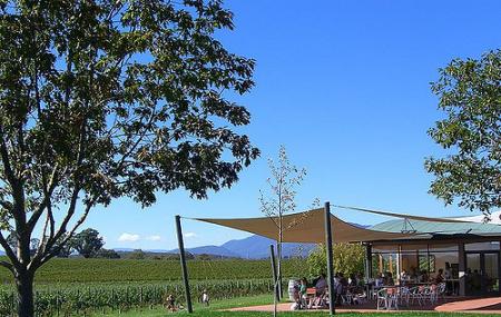 Oakridge Wines Image