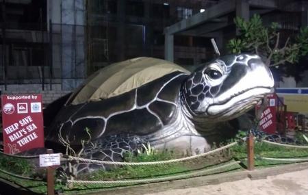 Bali Sea Turtle Society Image