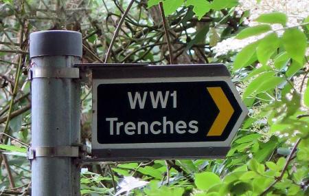 Berkhamsted W W 1 Trenches Image