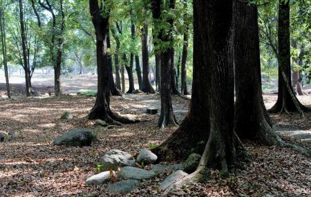Kebun Raya Purwodadi Image