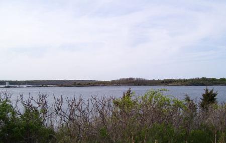 Dutch Island Image