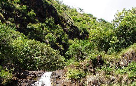 Waimea Falls Image
