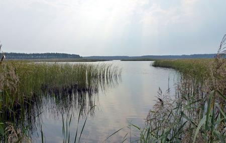 Park Krajobrazowy Lasy Janowskie Image