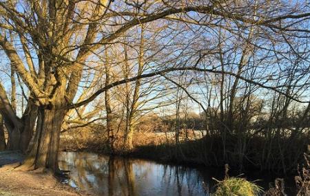 Bassett's Mead Country Park Image