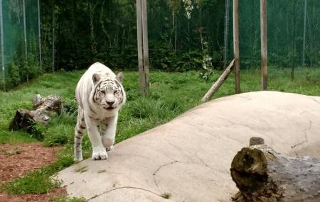 York's Wild Kingdom Zoo And Fun Park Image