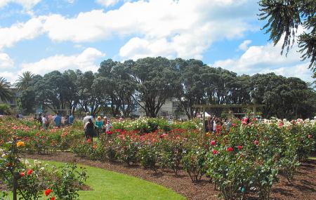 Parnell Rose Garden Image