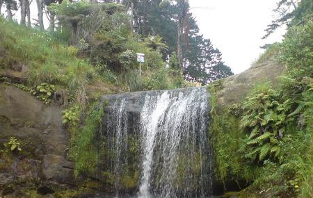 Oakley Creek Waterfall Image
