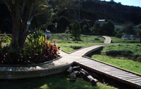 Whitianga Mountainbike Park Image