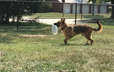 Scott Afb Dog Park Image