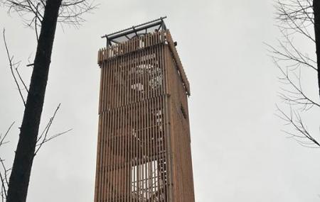Mohnesee-turm Image