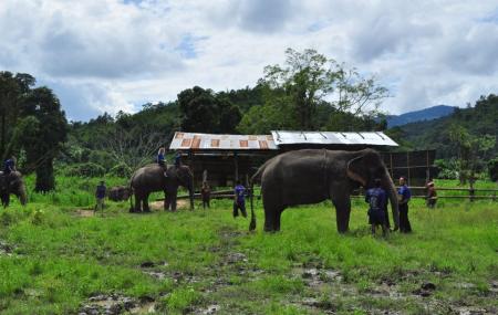 Baanchang Elephant's Paradise Image