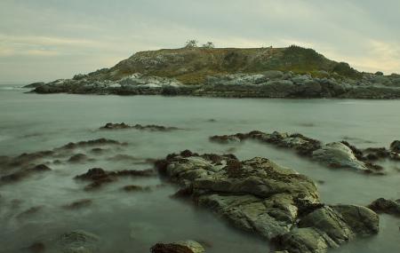 Monumento Natural Isla Cachagua Image