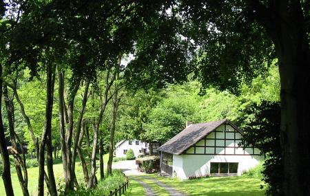 Schilsbachtal Mit Nebenbachen Und Hangwaldern Am Rursee Image