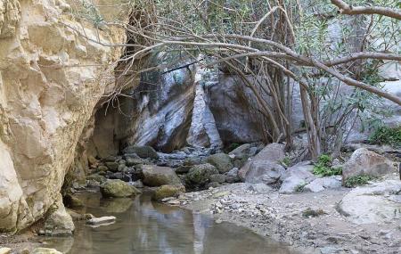 Avakas Gorge Image