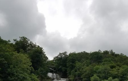 Shequaga Falls Park Image