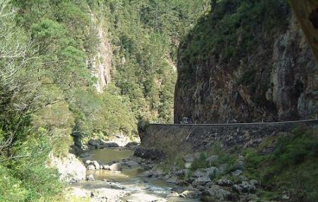 Karangahake Gorge Image