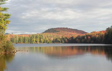 Groton State Forest Image