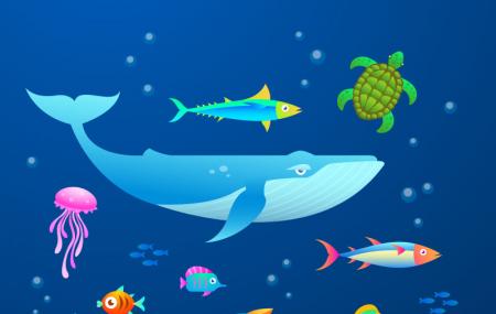 Porec Aquarium Image