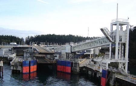 Swartz Bay Ferry Terminal Image