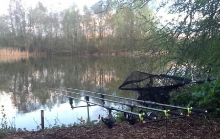 Strikers Angling Lake Image