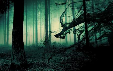 Dead Woods Haunted Forest Image