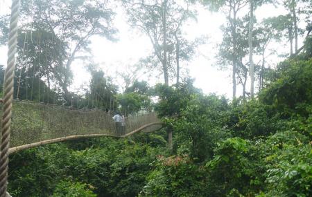 Kakum National Park Entrance Gate Image