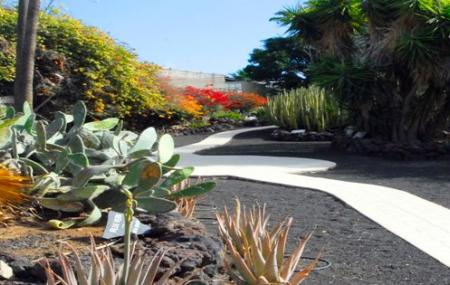Aloe Park Tenerife Image